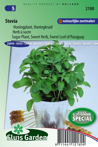 Stevia oder Honigpflanze