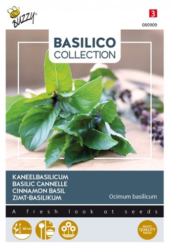 Zimt-Basilikum - Basilico Collection