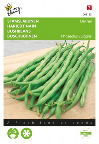 Buschbohnen Delinel - Buzzy
