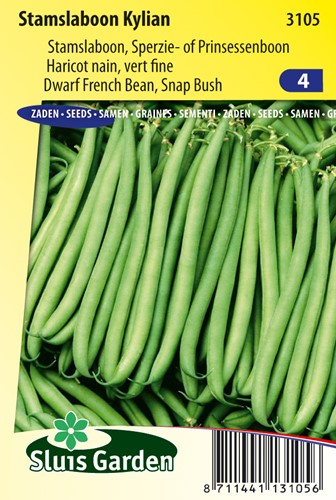 Stammschnittbohne Kylian - Phaseolus