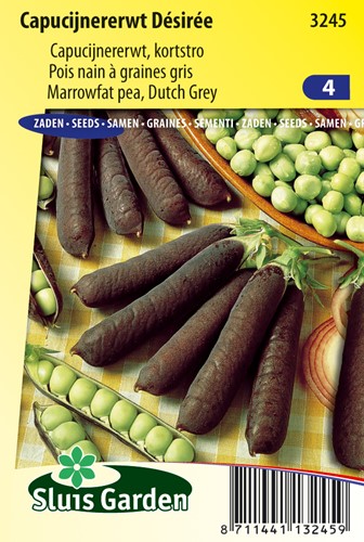 Kapuzinererbse Désirée