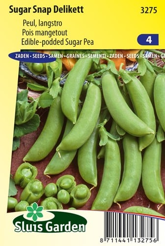 Zuckererbse Sugar Snap Delikett