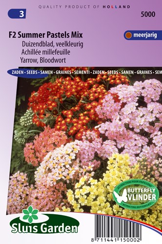 Tauzendblatt Summer Pastels F2 Mix - Achillea