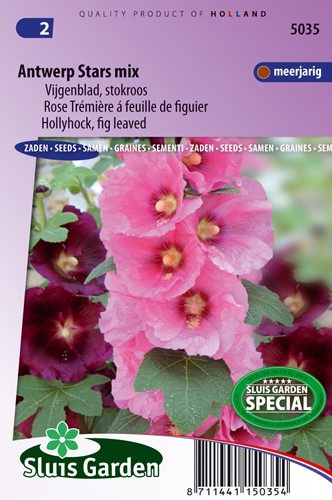 Stockrose Antwerp Stars einzelblumige mischung (Alcea)