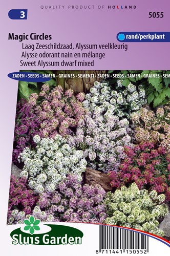 Schildsamen Magic Circles Mix (Alyssum)