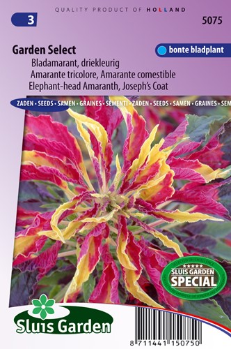 Blatt-Amaranth