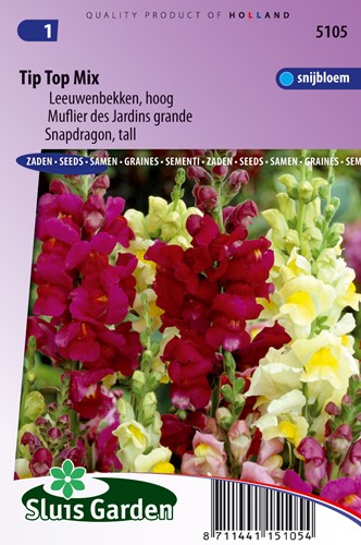 Löwenmaul Tip Top Mix, hoch gemischt