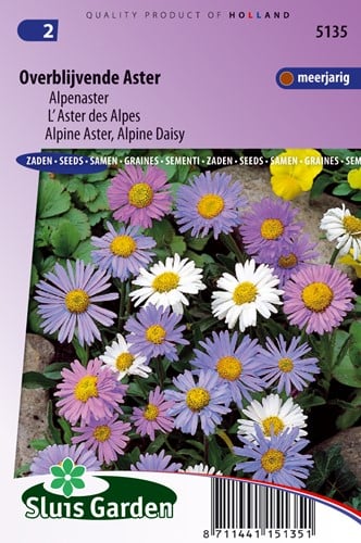 Alpenaster