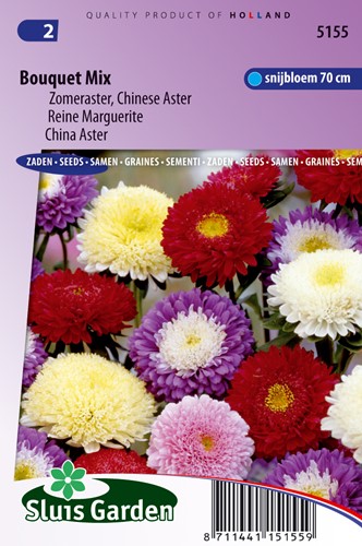 Aster Boeket - Zomeraster Bouquet Mix
