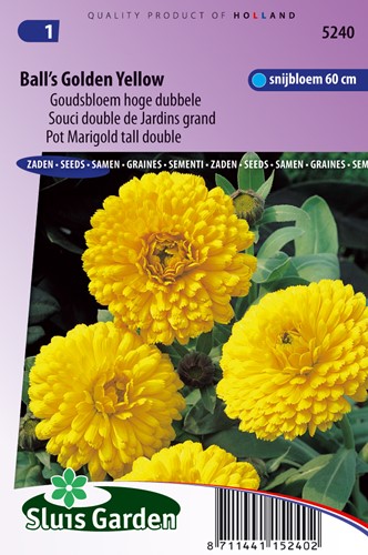Ringelblume Ball's Golden Yellow - Calendula