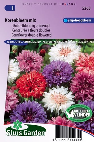 Kornblume doppelblumig gemischt