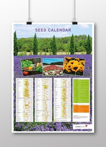 Aussaatkalender-Poster Englisch  - Gefaltet