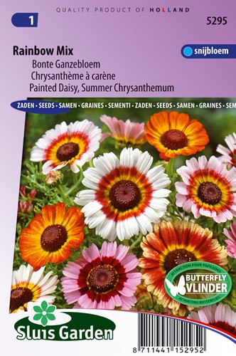 Bunte Gänseblümchen