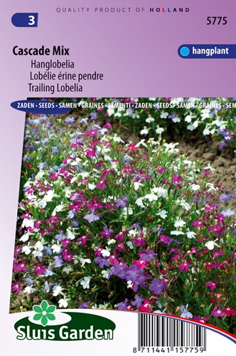 Lobelie Cascade Mixed