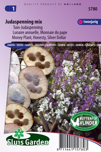 Judaspfennig gemischt - Lunaria