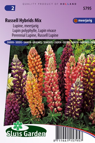 Lupine Russel Hybrids Mix - Lupinus