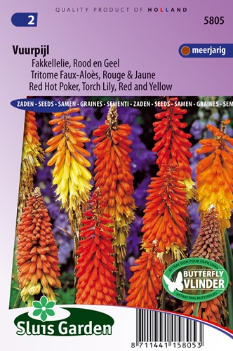 Fackellilie rotgelb - Kniphofia
