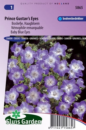 Hainblume Prince Gustav's Eyes