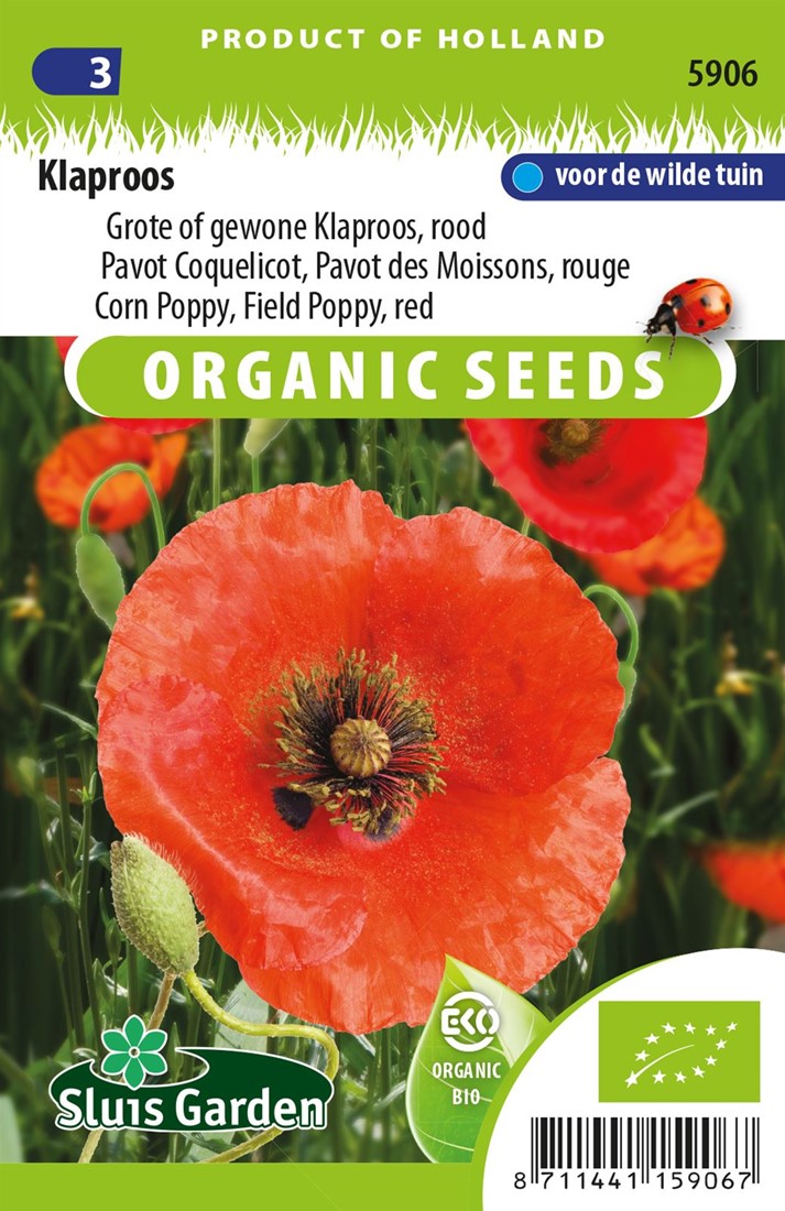 Mohn Red Corn Poppy EKO kaufen? Samen bestellen bei