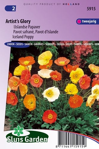 Mohn Isländische, Artist's Glory