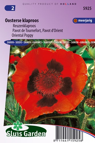 Mohn rot