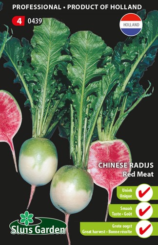 Chinesischer Rettich Red Meat