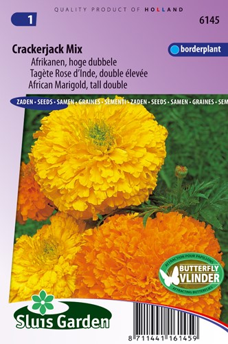 Samtblume hoch Crackerjack Mix - Tagetes