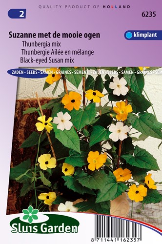 Schwarzäugige Susanne gemischt