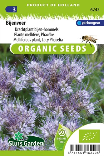 Bienentrachtpflanze Lacy Phacelia EKO
