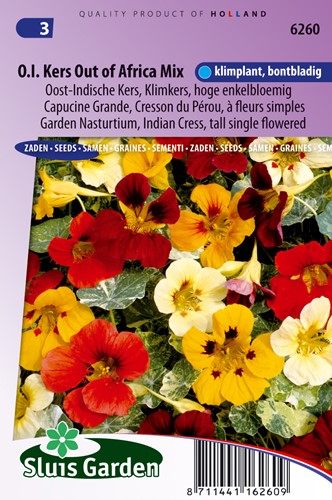 Kapuzinerkresse Out of Africa mix, hochrankend