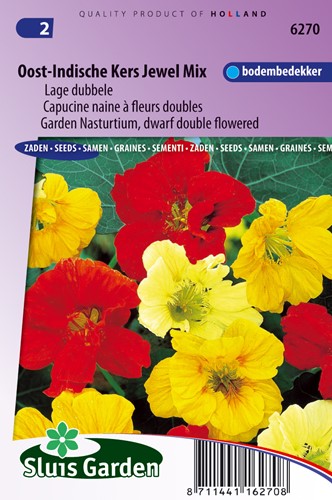 Kapuzinerkresse Jewel Mix, niedrig doppelblumig