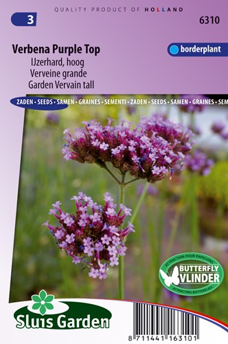 Eisenkraut Purple Top