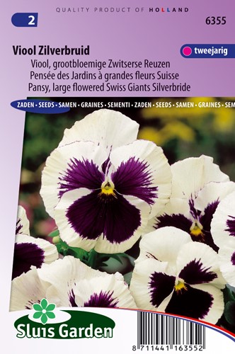 Stiefmütterchen Schweizer Riesen Silberbraut