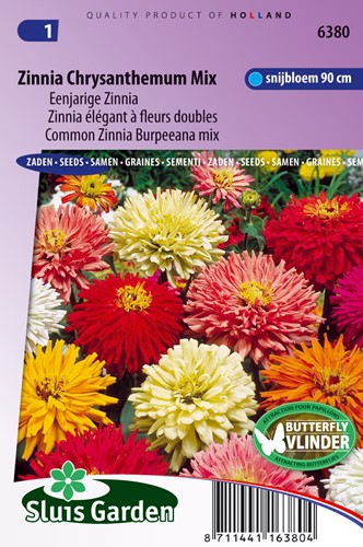 Zinnie Chrysanthemum mix