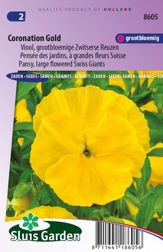 Weilchen Coronation Gold - Viola Wittrockiana