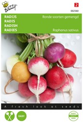 Radies Mischung runde sorten - Raphanus