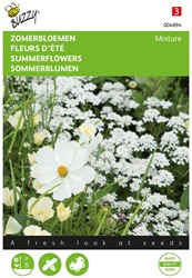 Sommerblumen Weiße Mischung - Buzzy