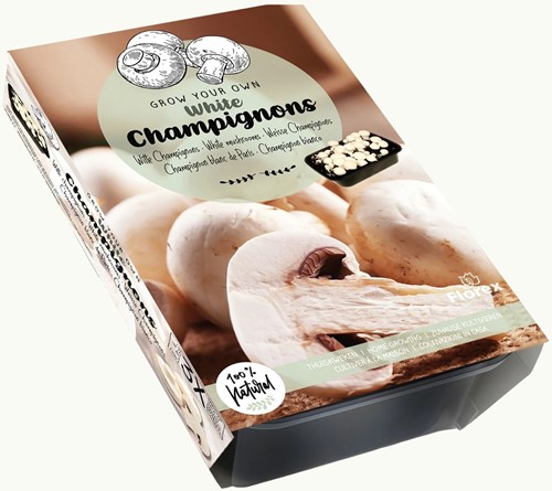 Champignon-Anzuchtset Weiße Champignons