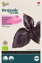 Bio Basilikum Red Rubin