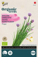 Bio Schnittlauch