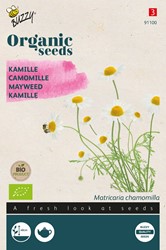 Bio Kamille - Chamomilla