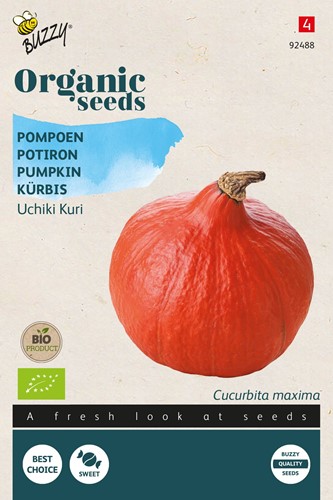Bio Kürbis Uchiki Kuri
