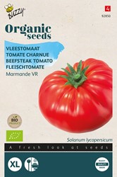 Bio Fleischtomate Marmande