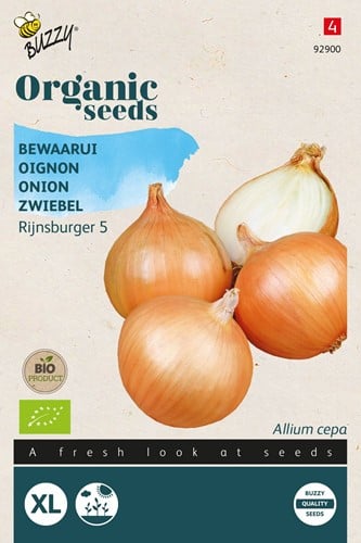 Zwiebel Rijnsburger 5 – Buzzy Organic Seeds