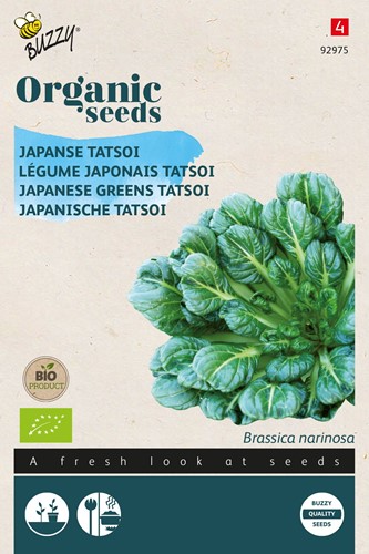 Bio Japanse Tatsoi - Brassica Narinosa