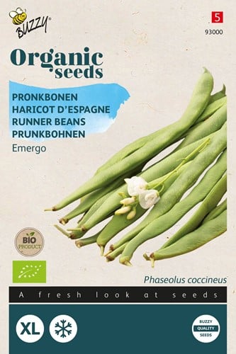 Bio Prukbohnen Weisse Riesen