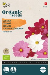 Bio Schmuckkörbchen Sensation Mix