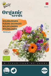 Bio Wildblumen Mischung