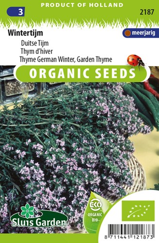 Thymian Winter EKO - Thymus vulg.