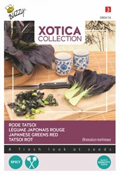 Tatsoi Rot - Xotica Collection
